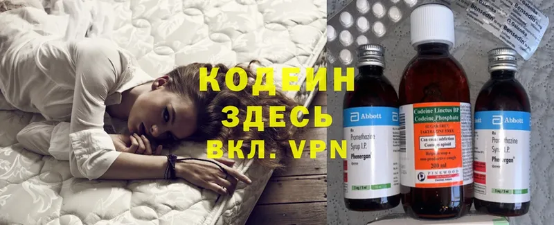 где можно купить наркотик  Зима  KRAKEN как войти  Codein Purple Drank 